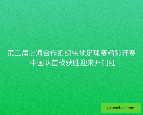 第二届上海合作组织雪地足球赛精彩开赛 中国队首战获胜迎来开门红